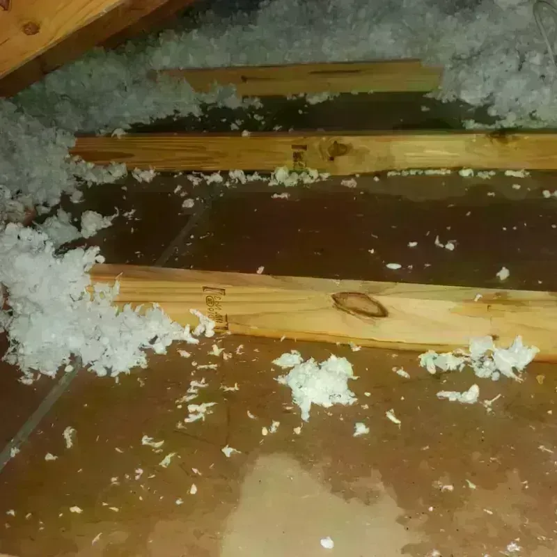 Attic Water Damage in Gap, PA