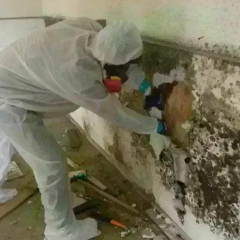 Mold Remediation and Removal in Gap, PA